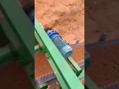 골드 래싱 플라커스 금